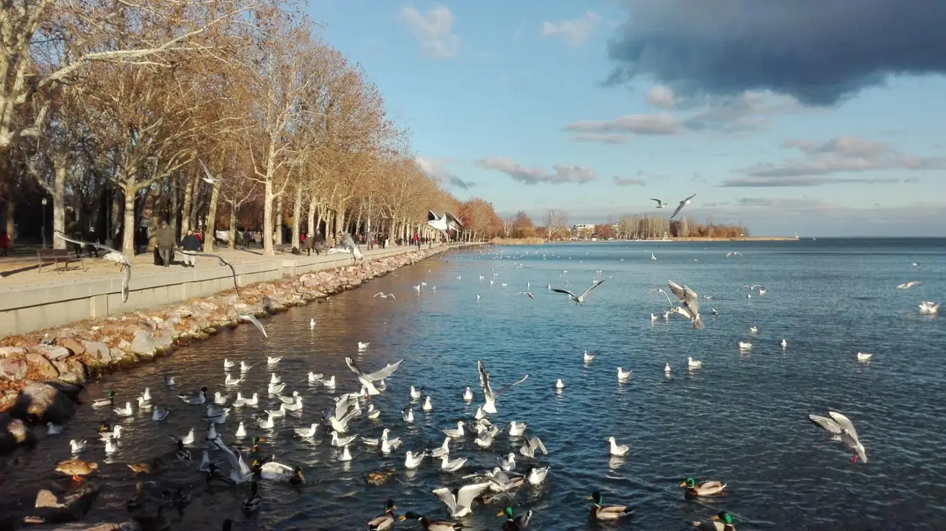 Pedetti Apartman - slide 6