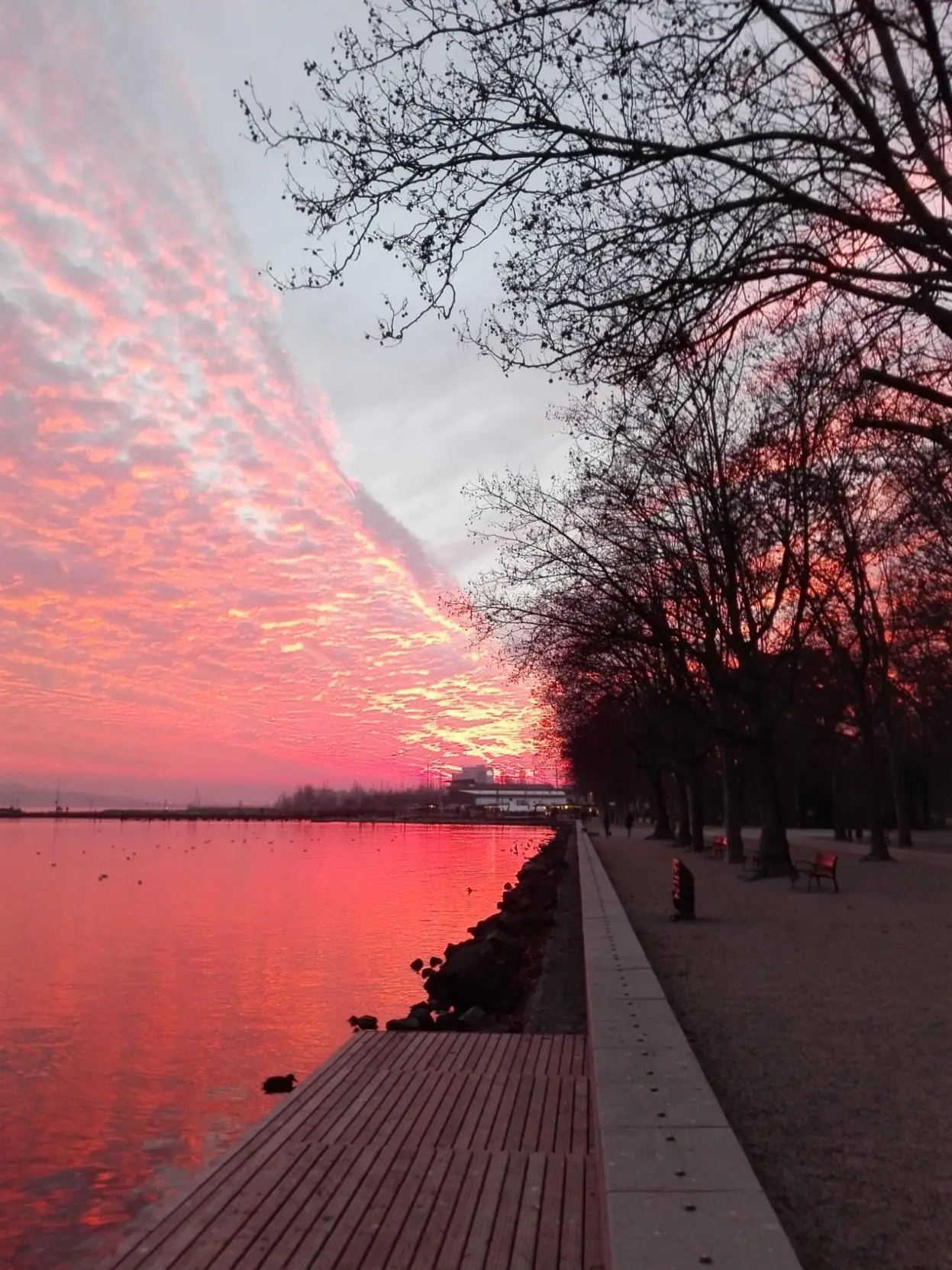 Pedetti Apartman - slide 12