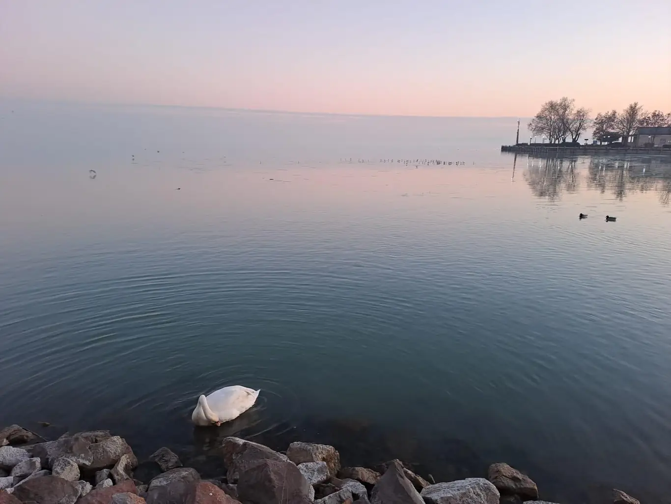 Pedetti Apartman - slide 17