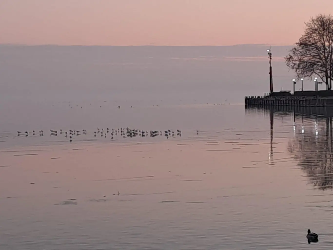 Pedetti Apartman - slide 18